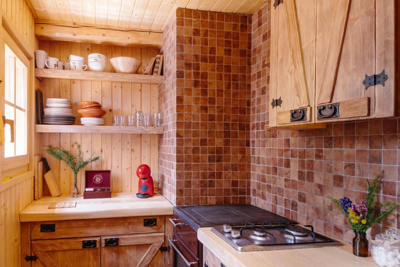 Chalet Orlica Velika Planina Стаховица Экстерьер фото